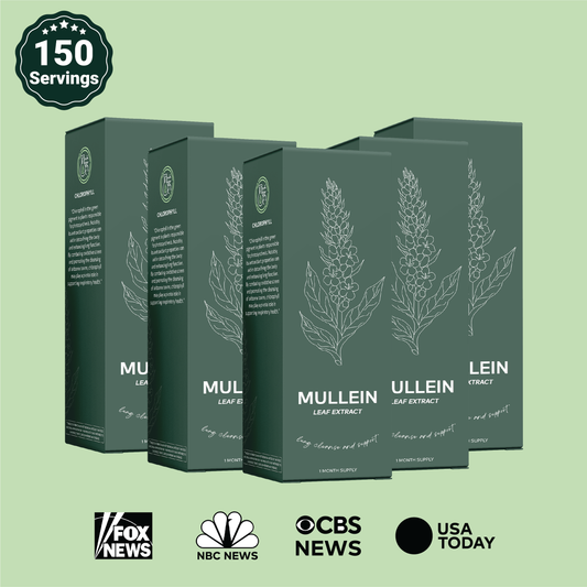 Mullein Leaf Extract Drops 5-Pack