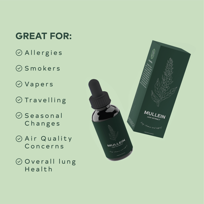 Mullein Leaf Extract Drops 3-Pack