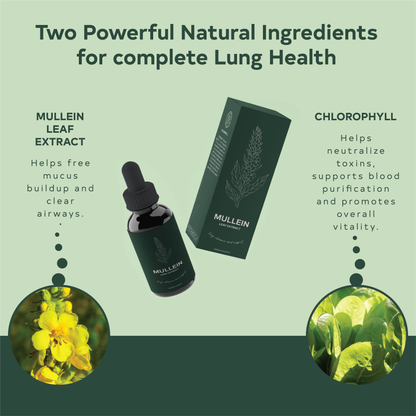 Mullein Leaf Extract Drops