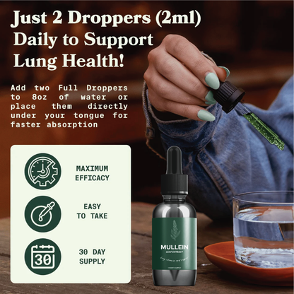 Mullein Leaf Extract Drops 3-Pack