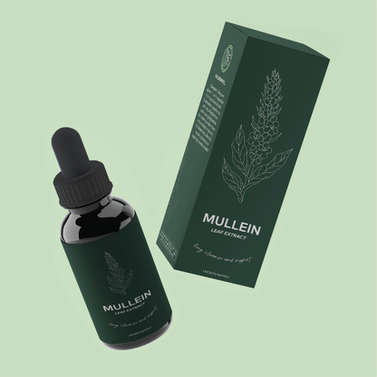 Mullein Leaf Extract Drops 3-Pack